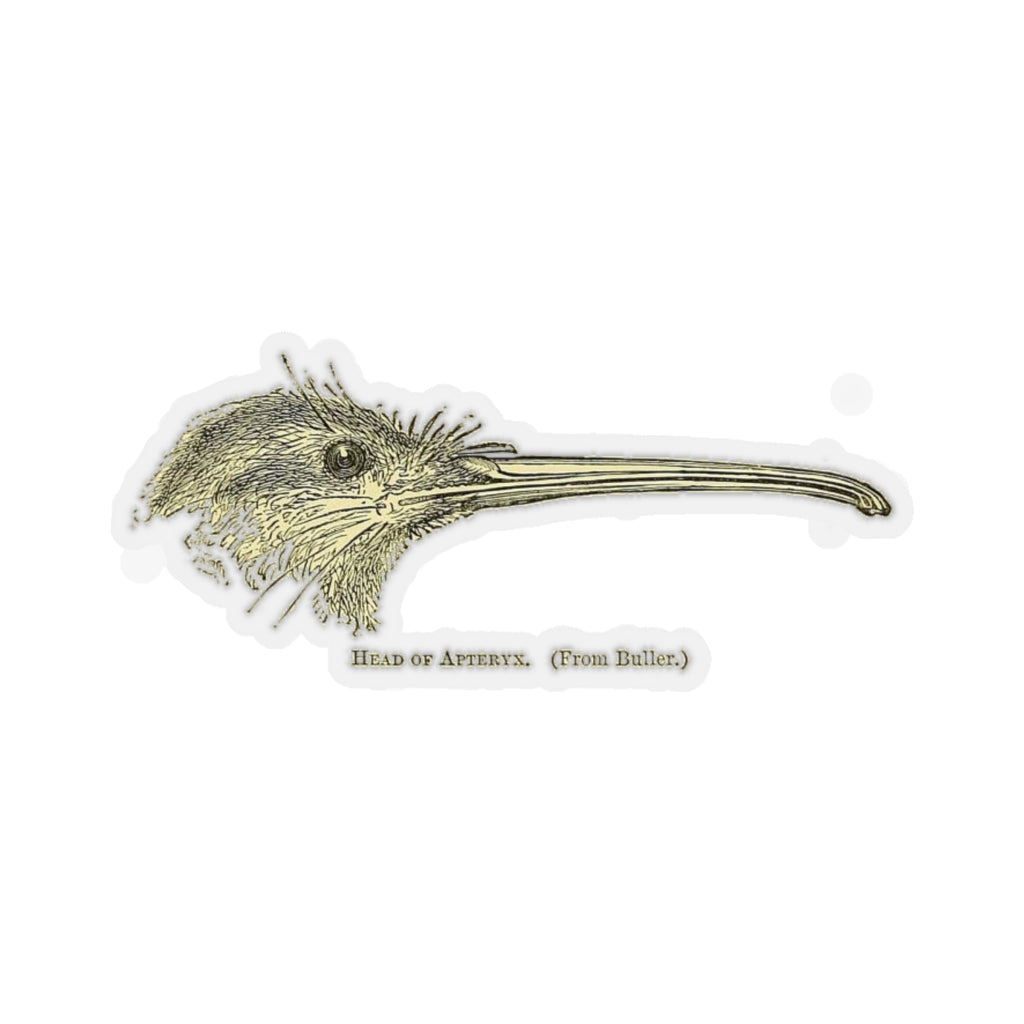 Kiwi Head Sticker