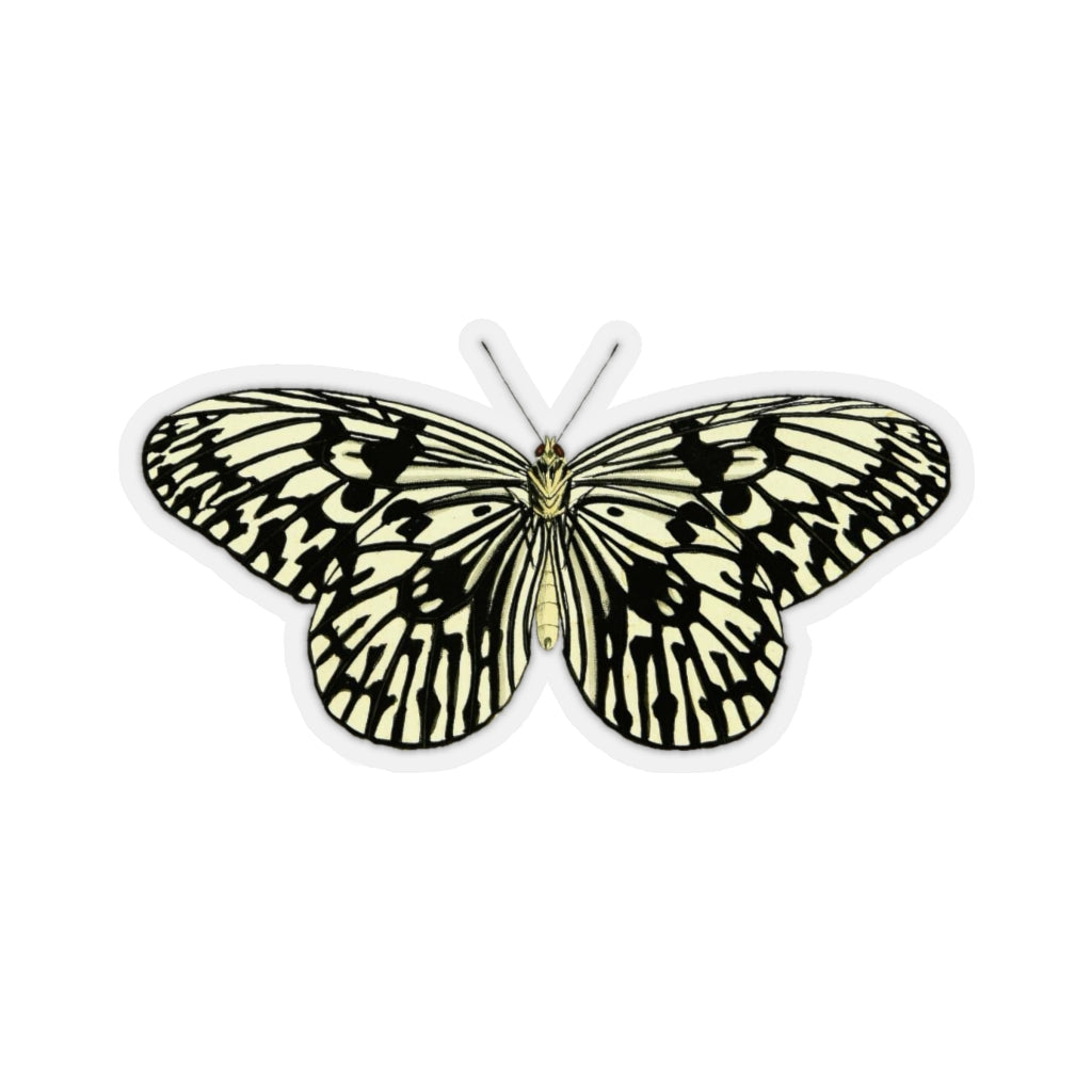 Butterfly Sticker