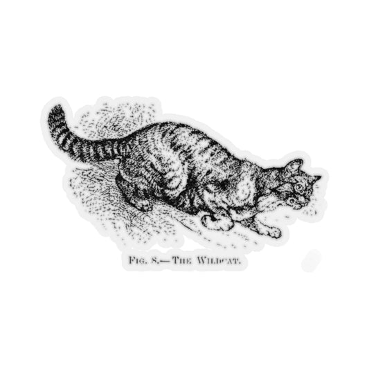 Fig 8 The Wildcat Sticker