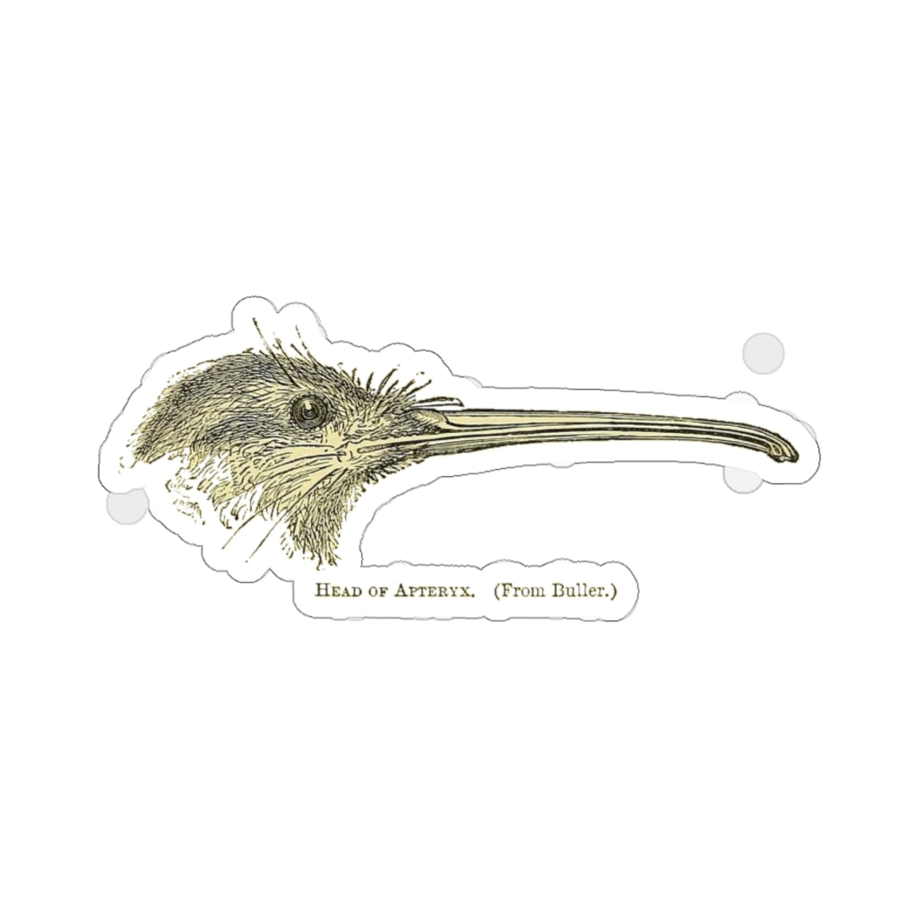 Kiwi Head Sticker