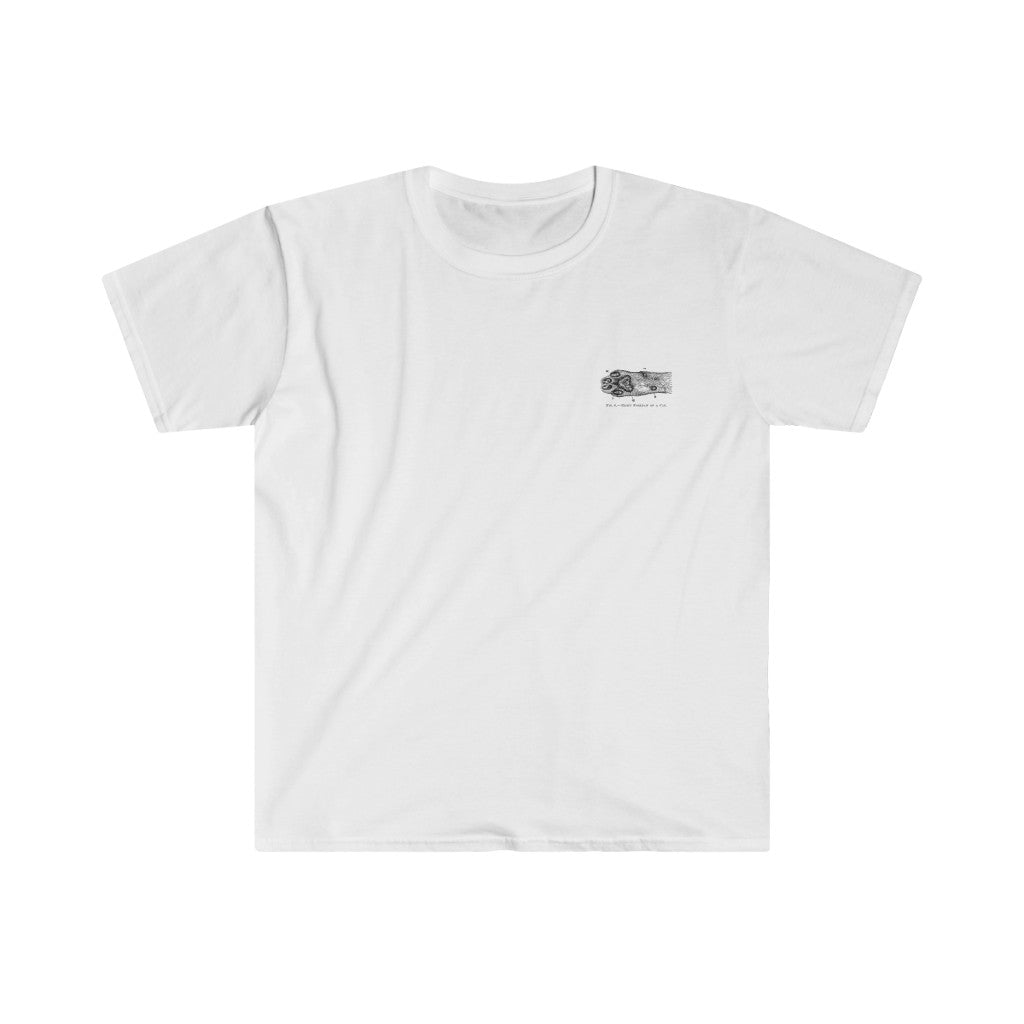 Right Forepaw of Cat Tee