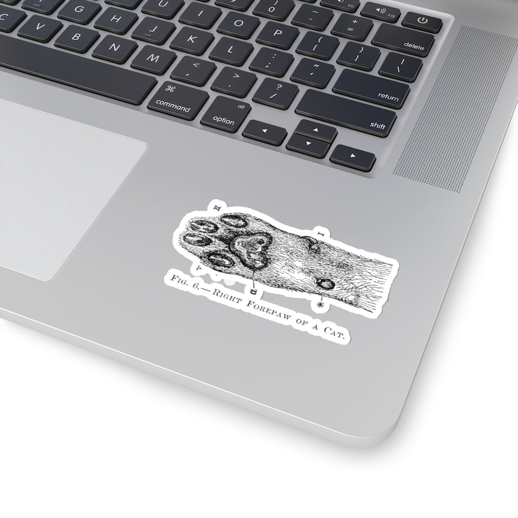 Right Forepaw of a Cat Sticker