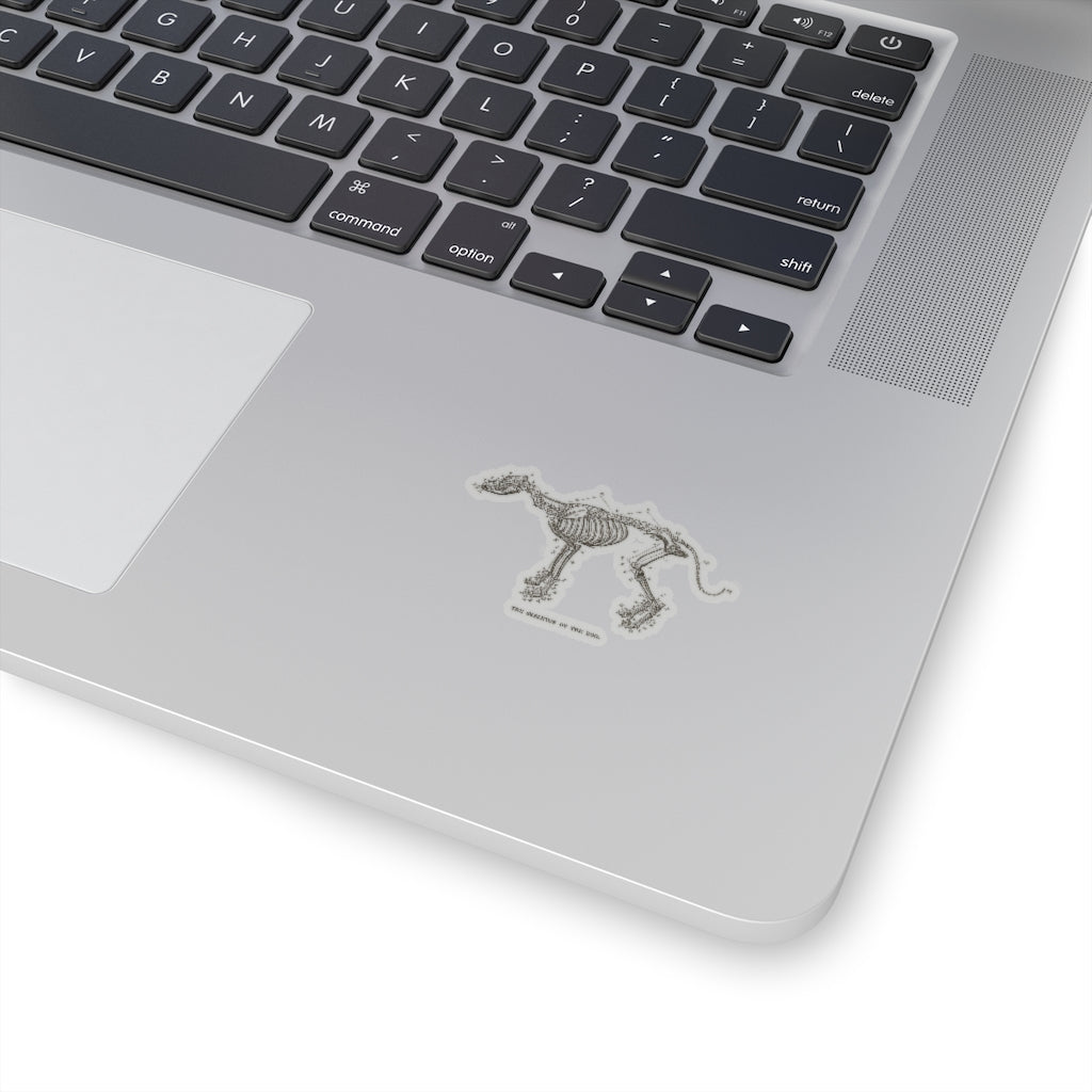 Skeleton of the Dog Sticker