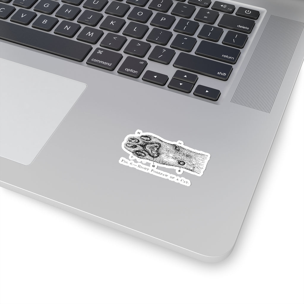 Right Forepaw of a Cat Sticker