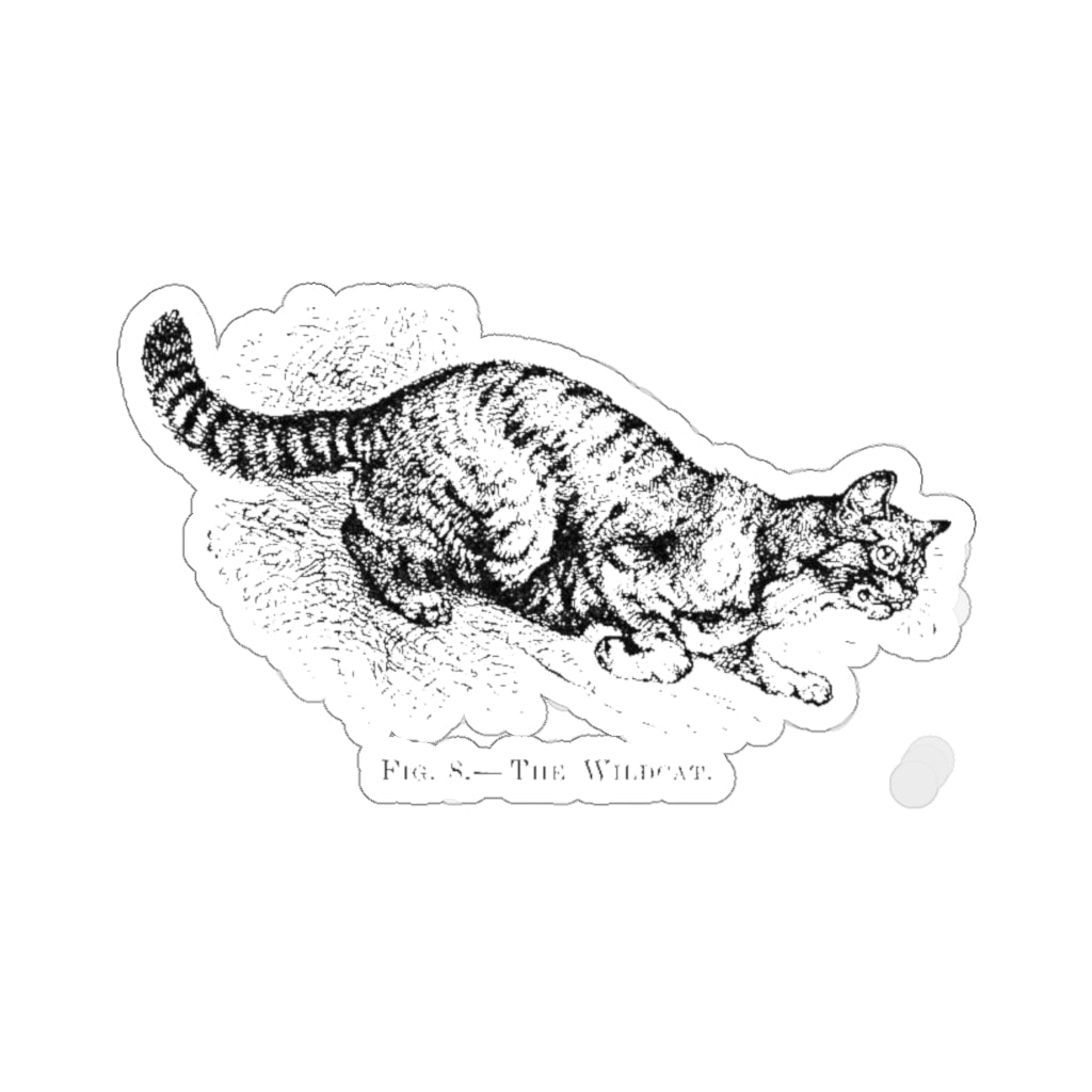 Fig 8 The Wildcat Sticker