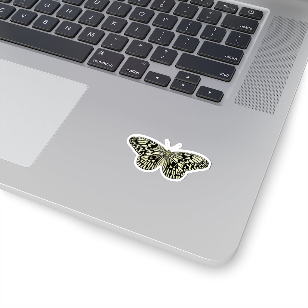 Butterfly Sticker