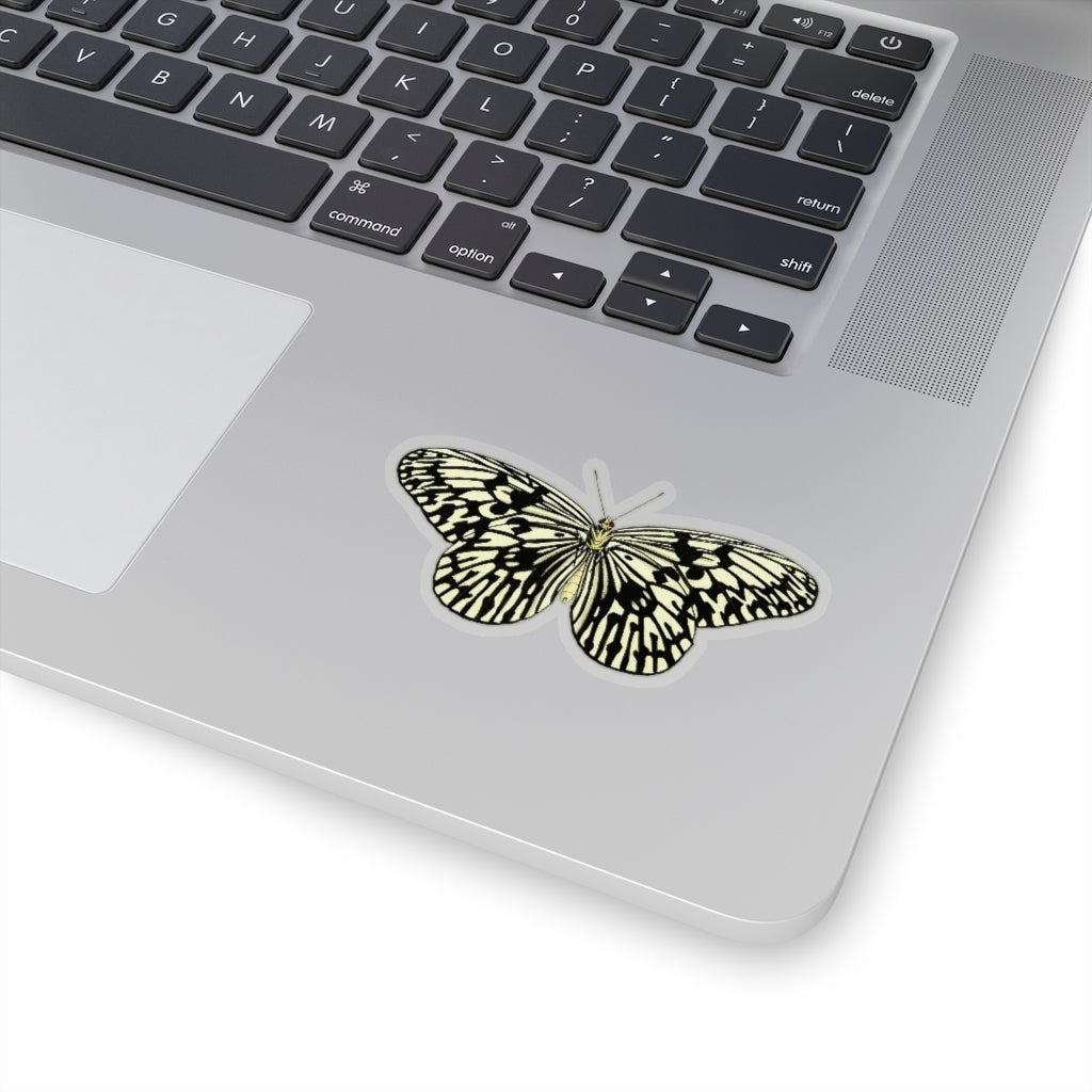 Butterfly Sticker
