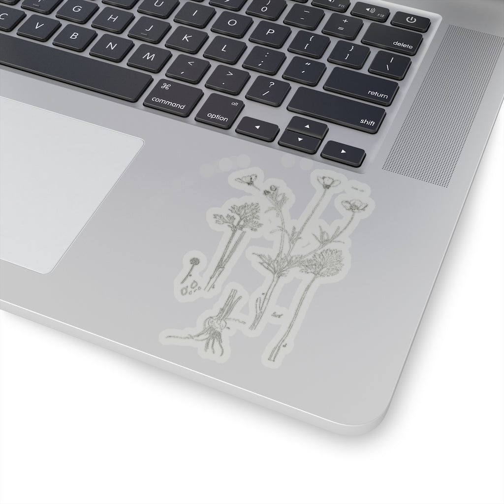 Buttercup Sticker