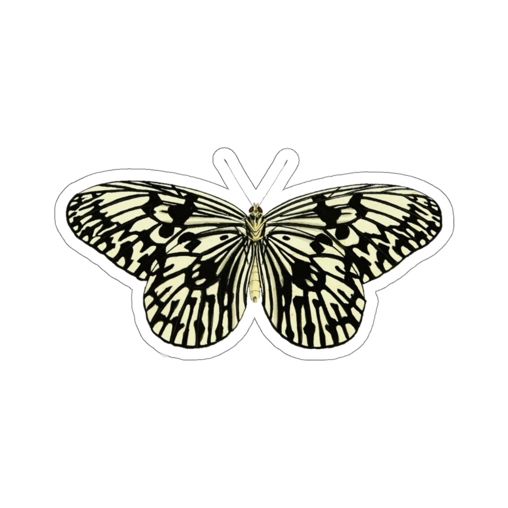 Butterfly Sticker