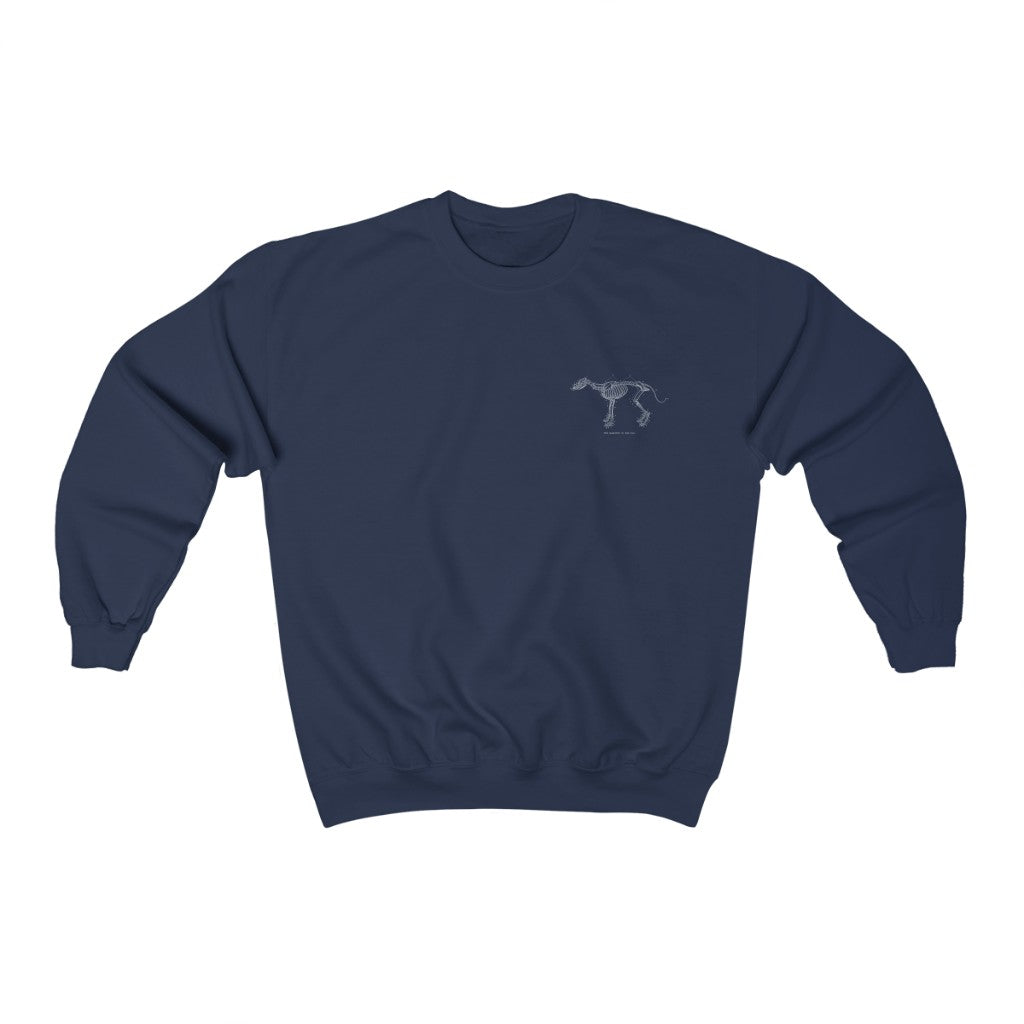 Skeleton of the Dog Sweatshirt