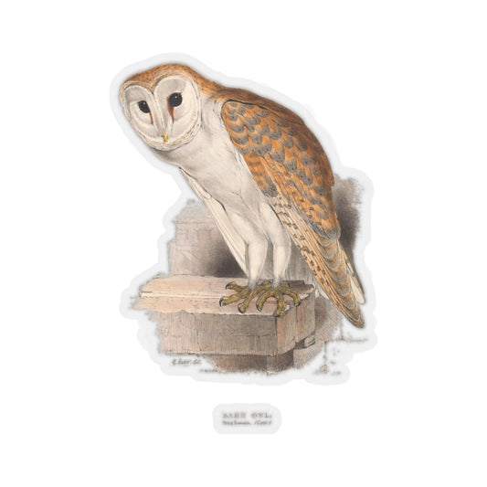Barn Owl Sticker