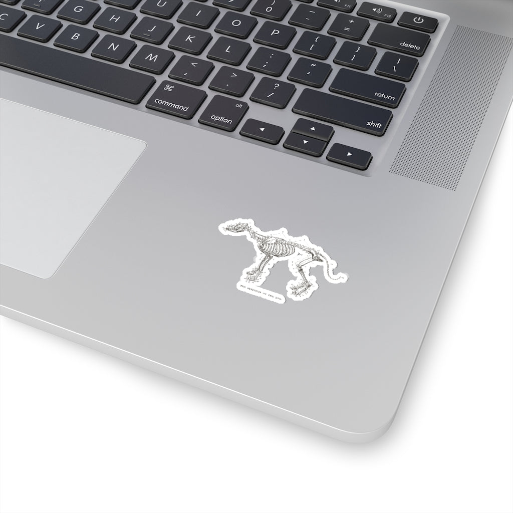 Skeleton of the Dog Sticker