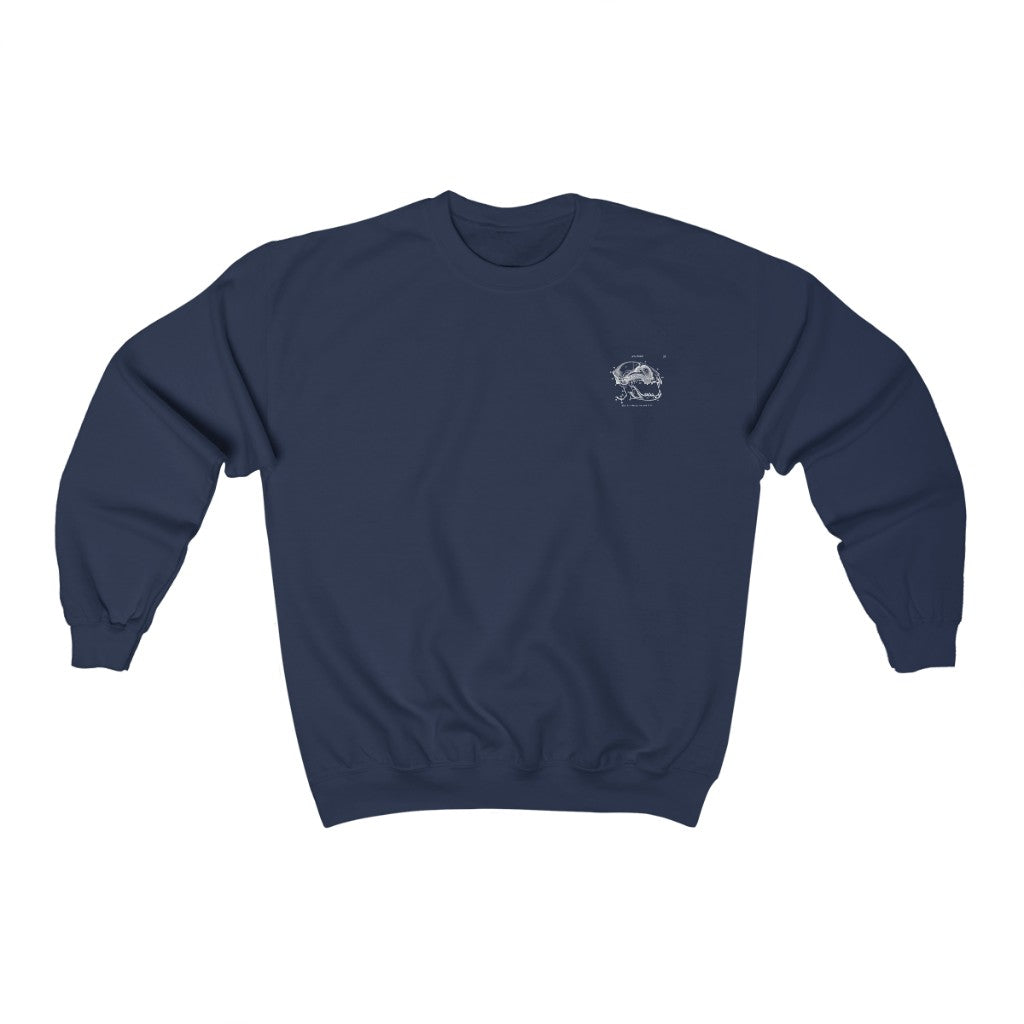 Skull of a Cat Sweatshirt