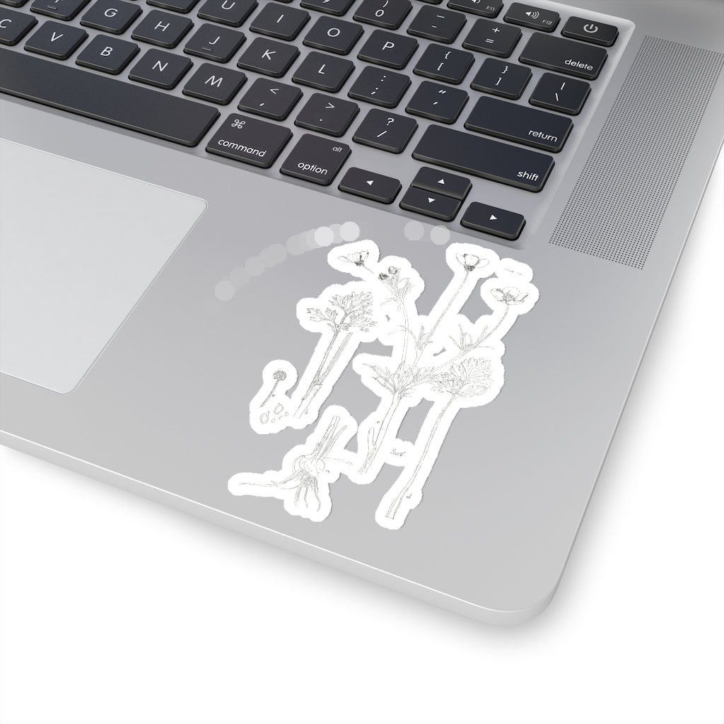 Buttercup Sticker