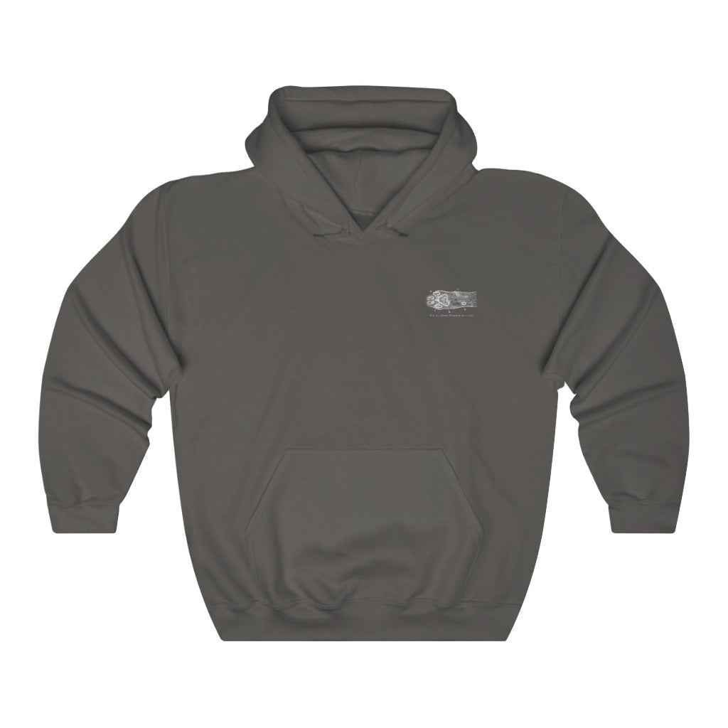 Right Forepaw of Cat Hoodie