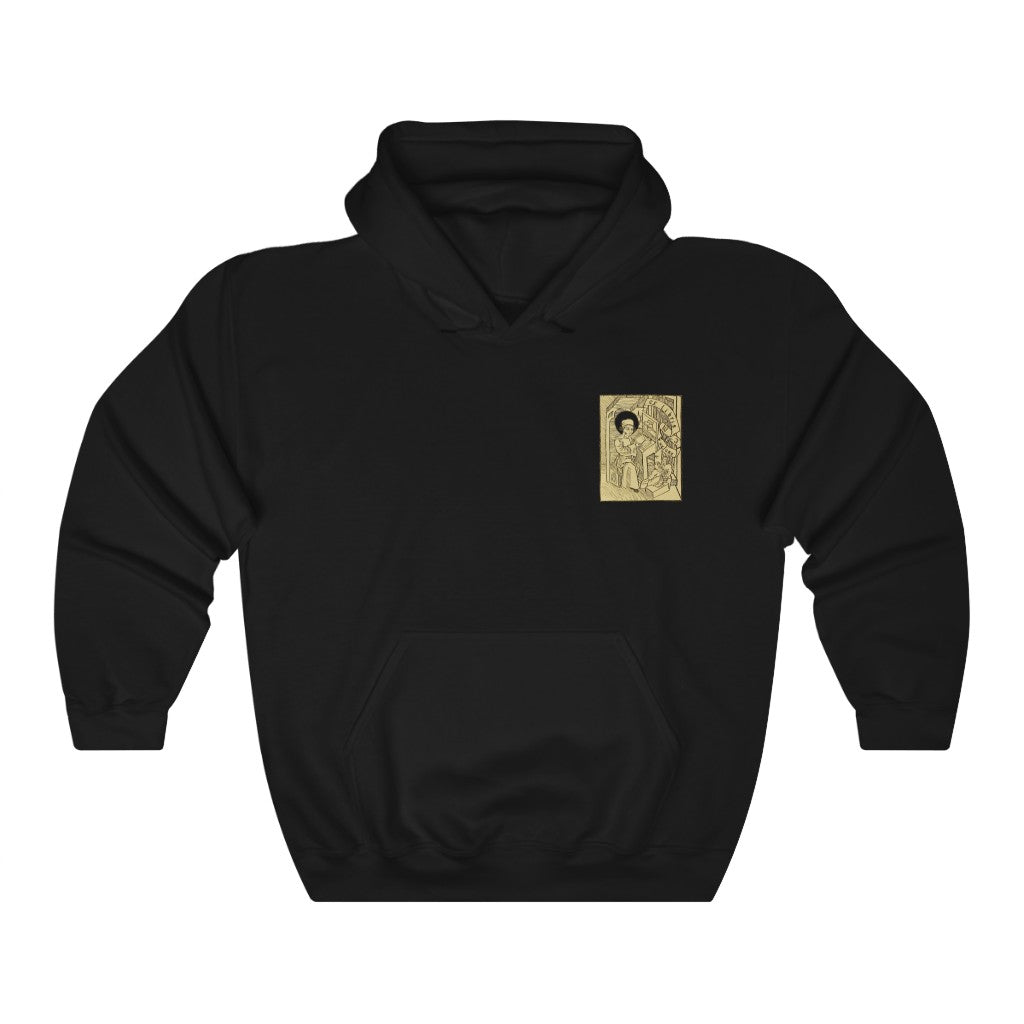 Dictionary of Birds Hoodie