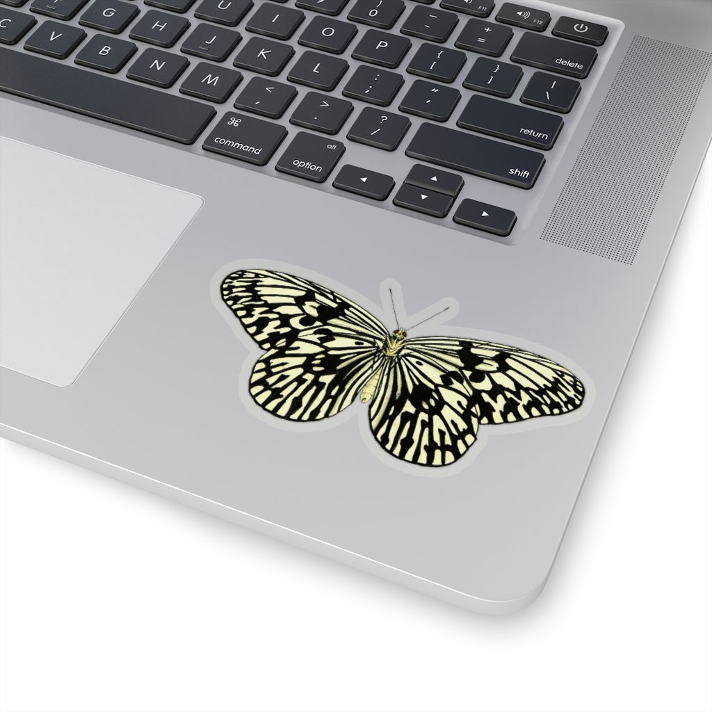 Butterfly Sticker