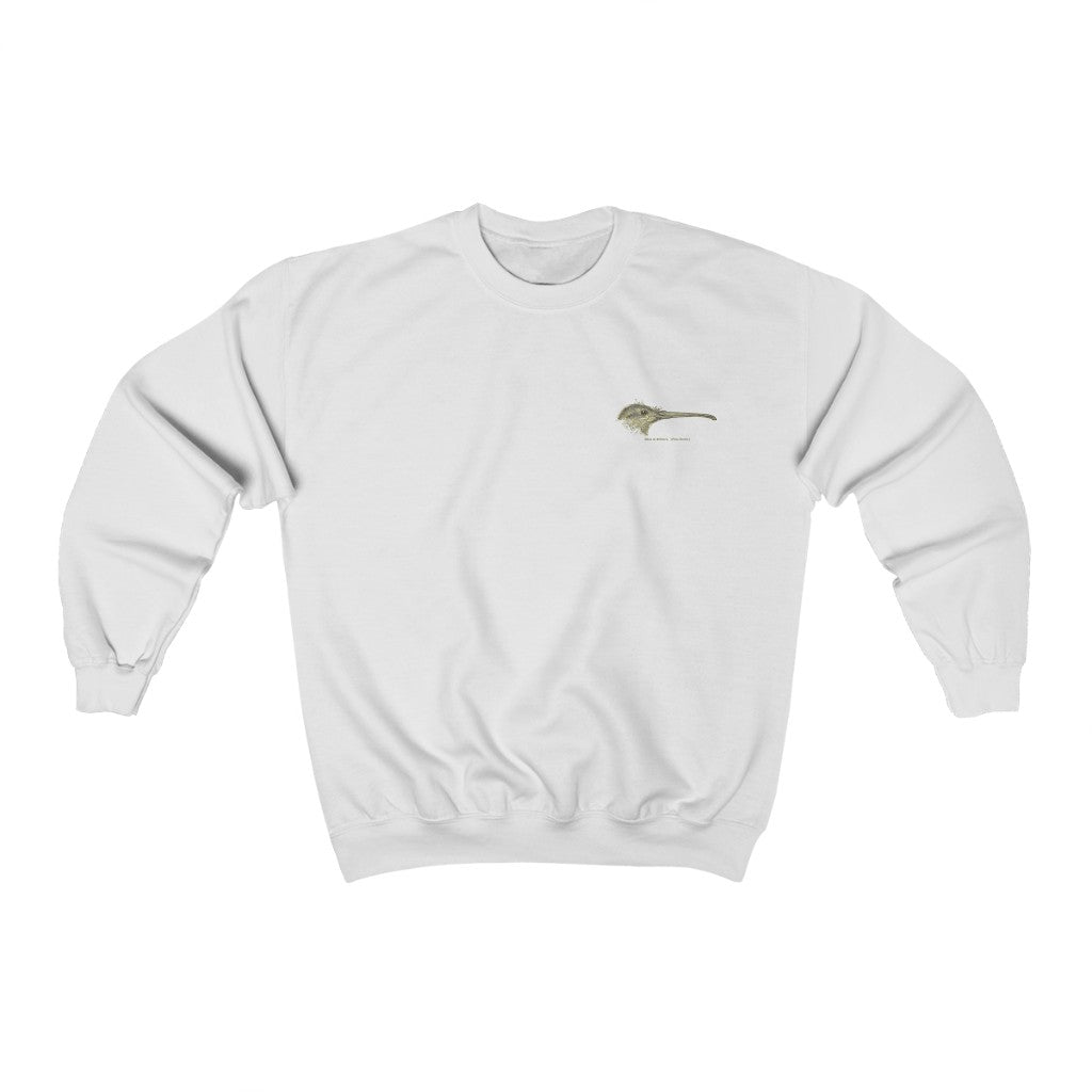 Kiwi Head Sweatshirt