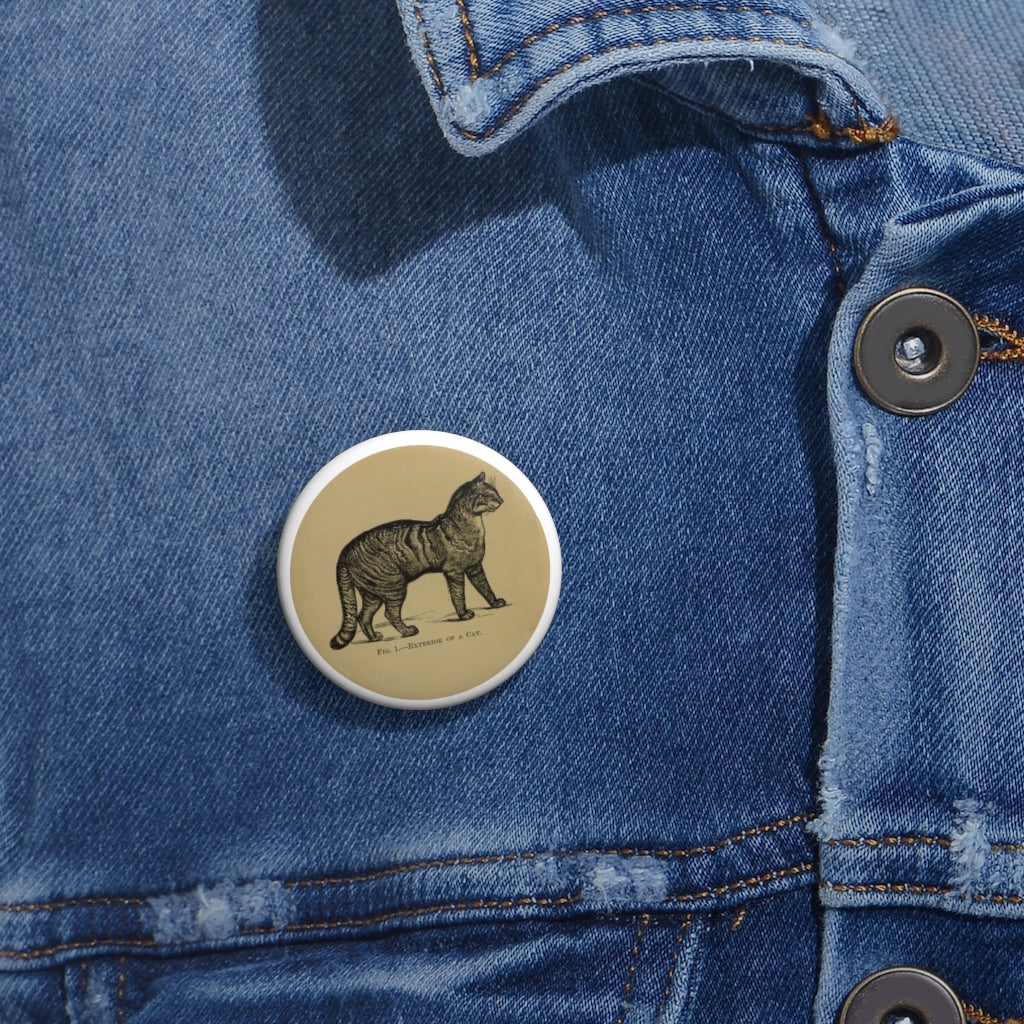 Fig. 1. Exterior of a Cat Pin