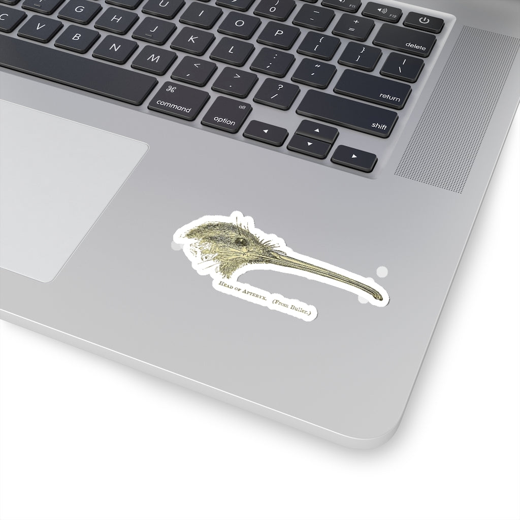 Kiwi Head Sticker