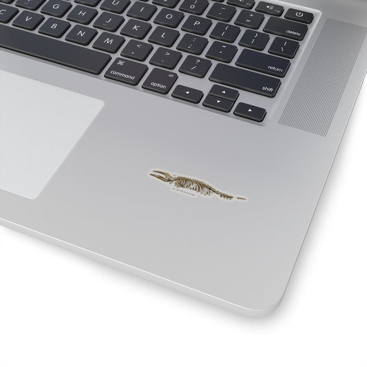 Pigmy Right Whale Sticker