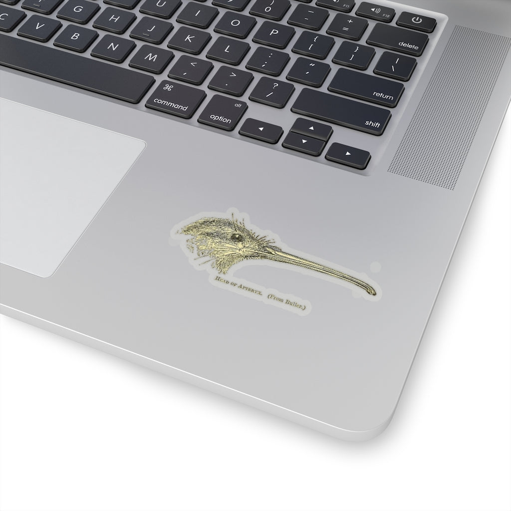 Kiwi Head Sticker