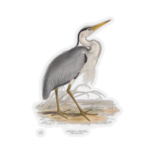 Common Heron Sticker