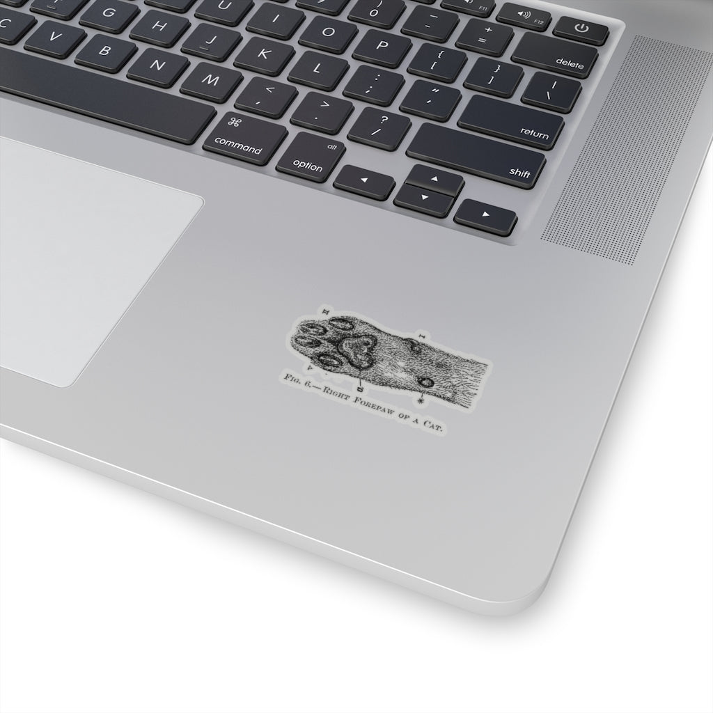 Right Forepaw of a Cat Sticker
