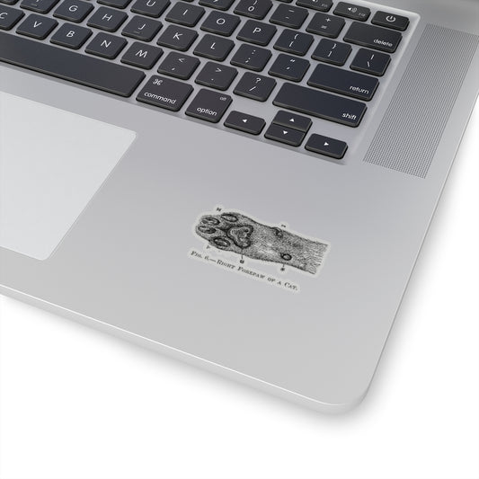Right Forepaw of a Cat Sticker