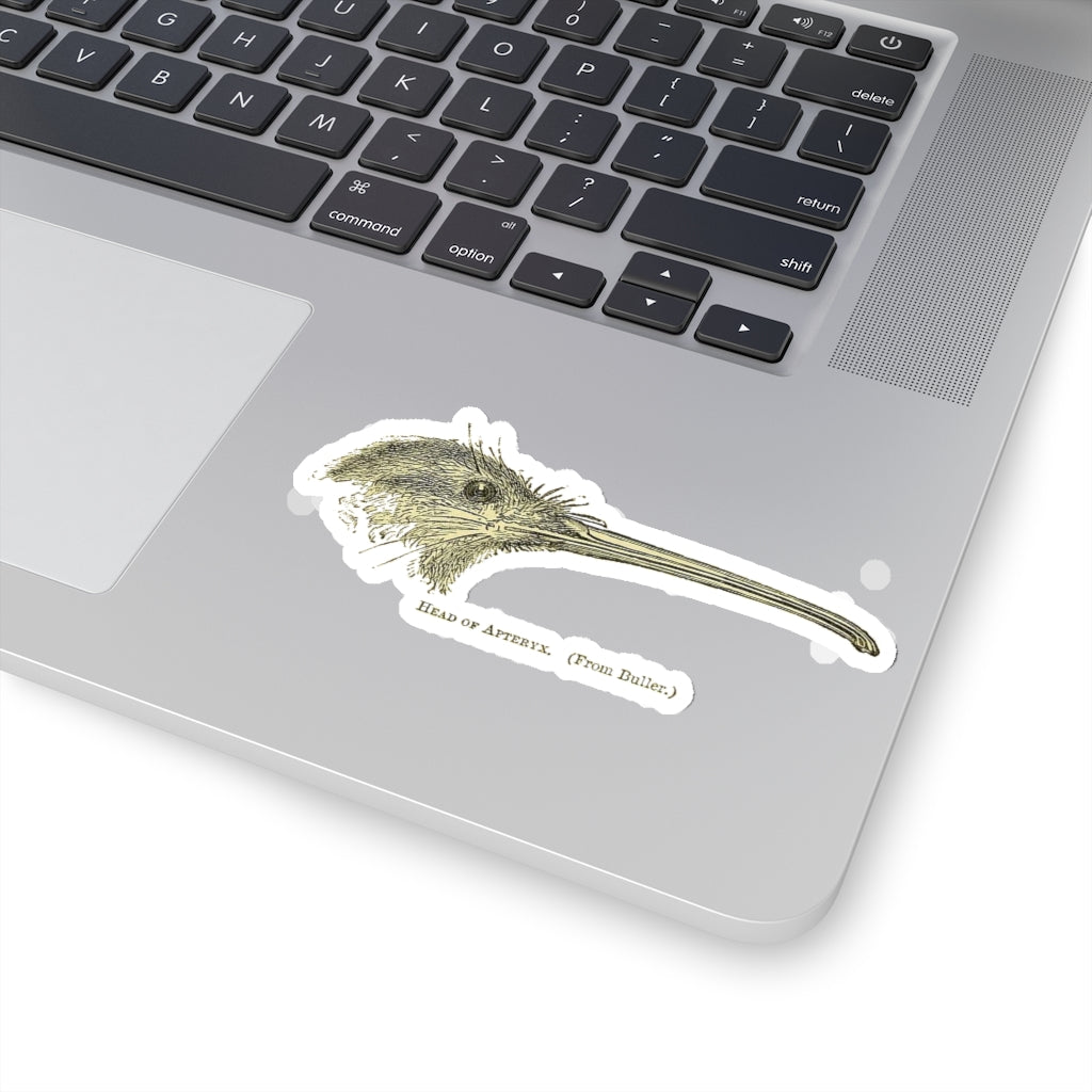 Kiwi Head Sticker